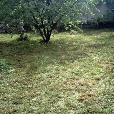 Jardin débroussaillé avant création de pelouse